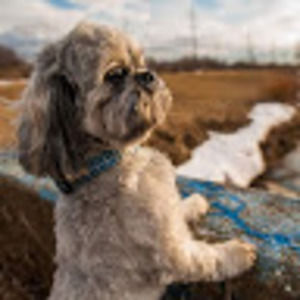 Meet your Posher, Meredith